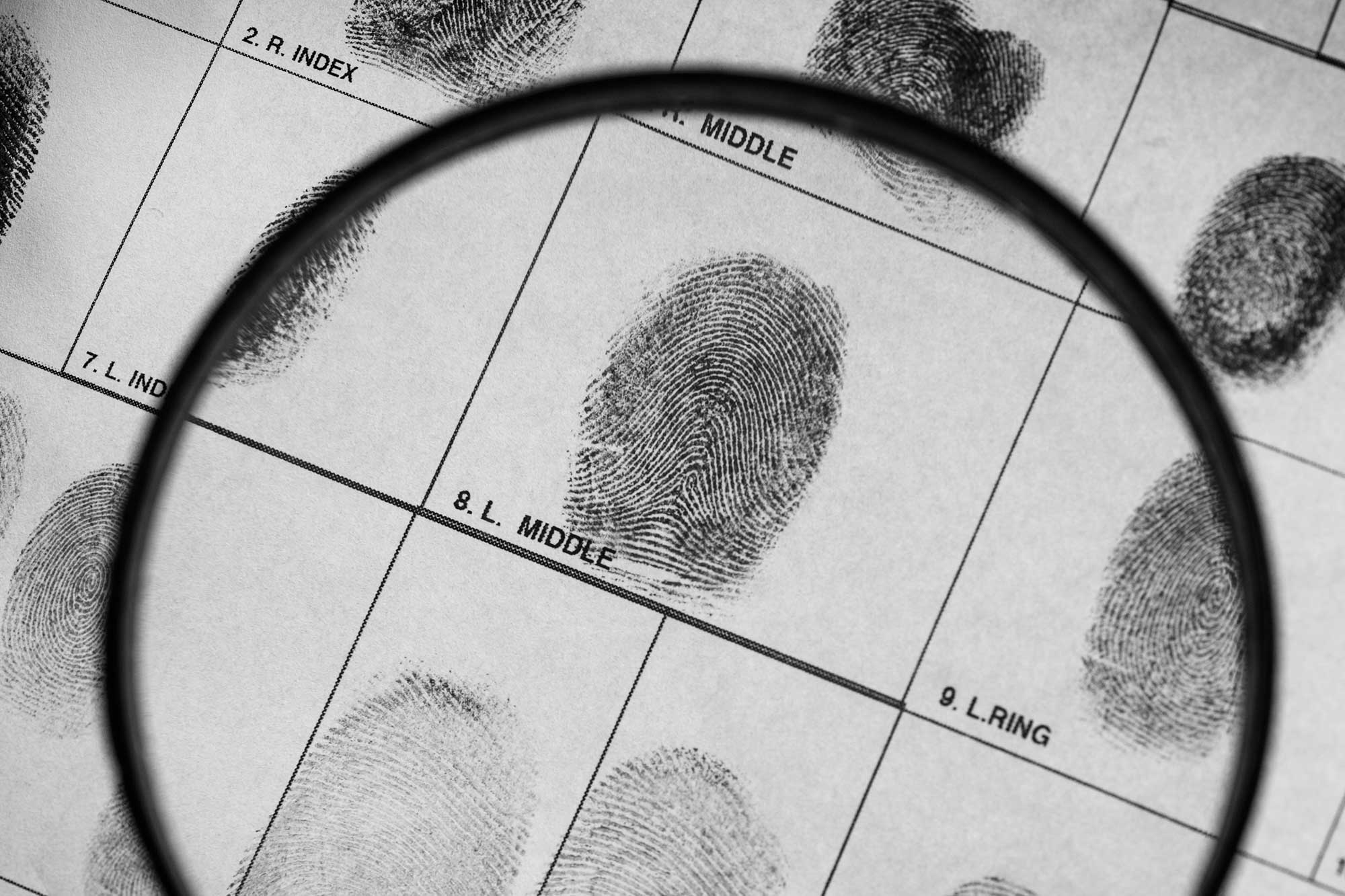 Bachillerato en Artes en Ciencias Sociales en Justicia Criminal (Psicología Forense)