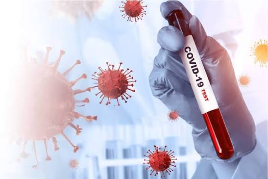 Enfermedades Respiratorias Transmisibles: Influenza, Micoplasma y Coronavirus (COVID-19)
