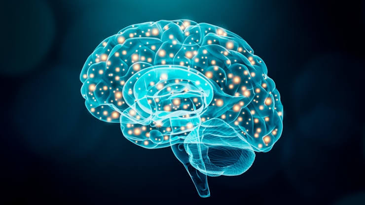 21. Creación de cursos en línea con un modelo orientado al cerebro